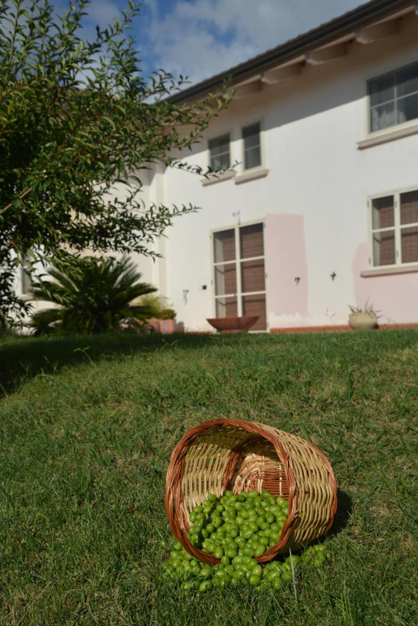 B&B Macchia D'Olmo Capaccio Ngoại thất bức ảnh