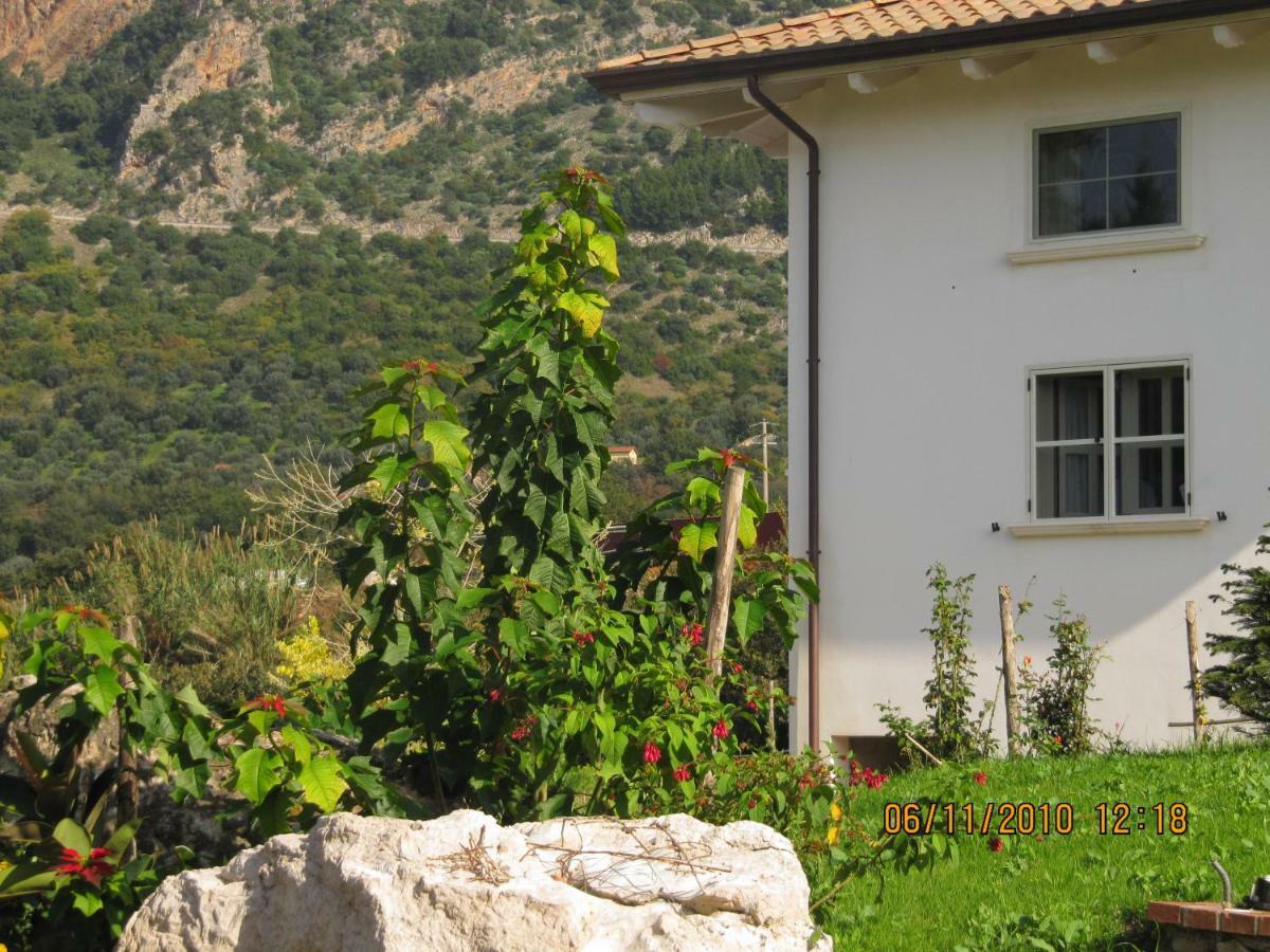 B&B Macchia D'Olmo Capaccio Ngoại thất bức ảnh