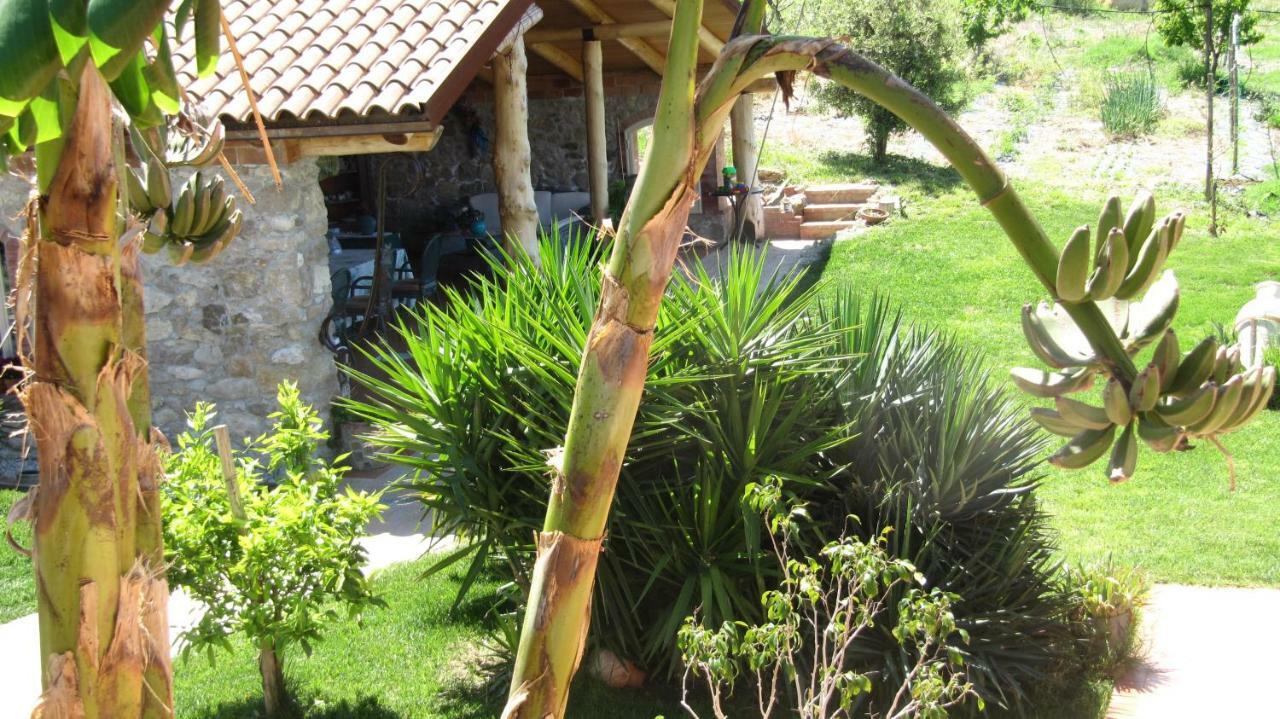 B&B Macchia D'Olmo Capaccio Ngoại thất bức ảnh