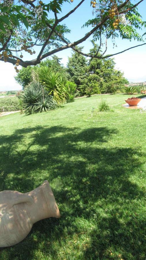 B&B Macchia D'Olmo Capaccio Ngoại thất bức ảnh
