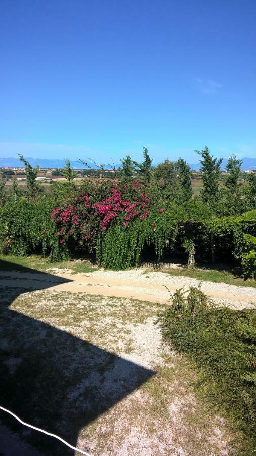 B&B Macchia D'Olmo Capaccio Ngoại thất bức ảnh